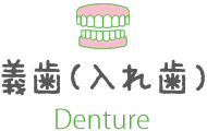 義歯(入れ歯) Denture